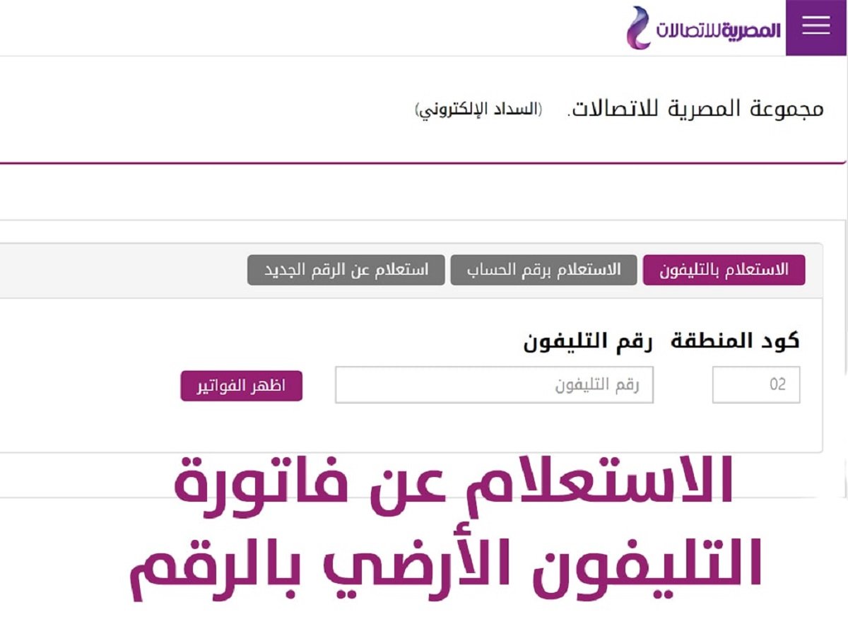 فاتورة التليفون الارضي بالوادى الجديد