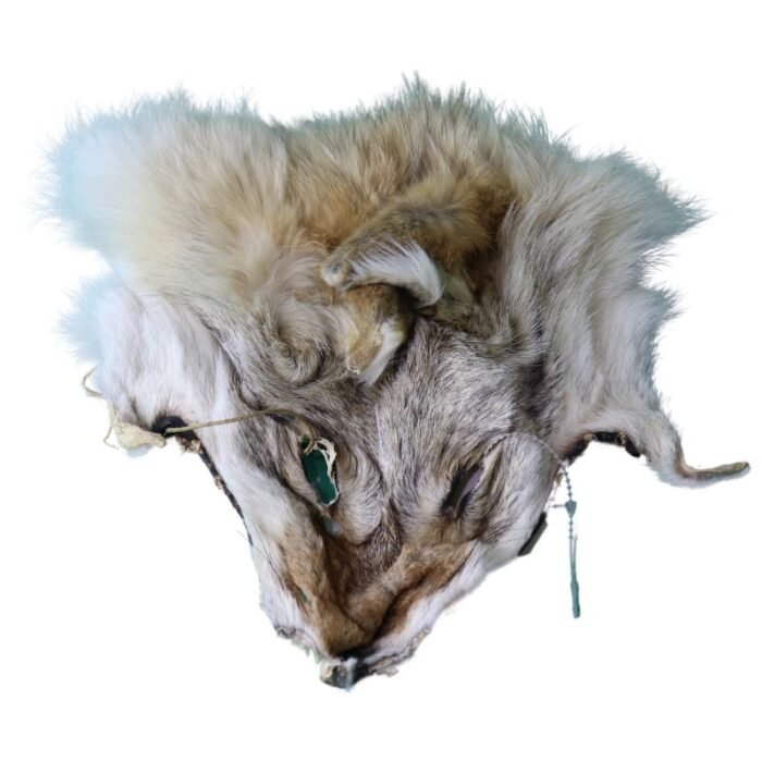 ⁦Antique face mask original fox skin⁩ - الصورة ⁦1⁩