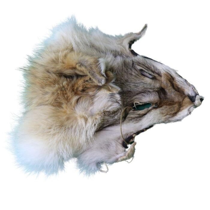 ⁦Antique face mask original fox skin⁩ - الصورة ⁦2⁩