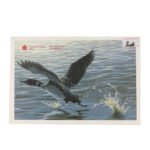 Royal canadian mint set 6 coins of 1988