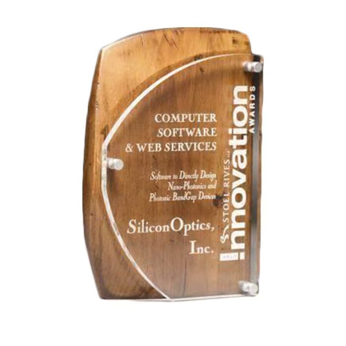 ⁦Aclyric wooden trophy⁩ - الصورة ⁦1⁩