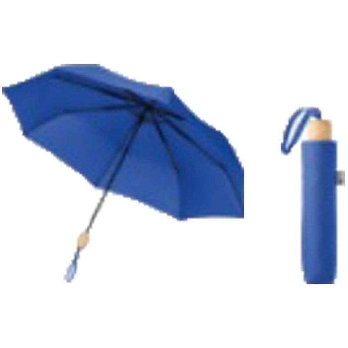 ⁦Umbrella⁩ - الصورة ⁦1⁩