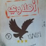 كتاب أهلاوي للكاتب مؤمن المحمدي