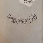 تصريحات الرئيس جمال عبد الناصر