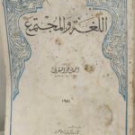 اللغة والمجتمع - أحمد ماهر البقري
