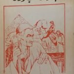 كتاب بلادى بلادى للكاتب أمين سلامة