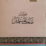 كتاب عومل ضعف المسلمين للكاتب سميح عاطف  الزين