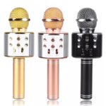 WSTER WS 858 Karaoke Bluetooth Player