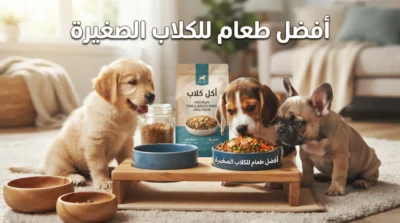 أفضل طعام للكلاب الصغيرة