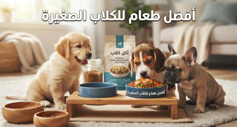 أفضل طعام للكلاب الصغيرة