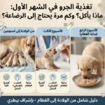 تغذية الجرو في الشهر الأول ماذا يأكل؟ وكم مرة يحتاج إلى الرضاعة؟